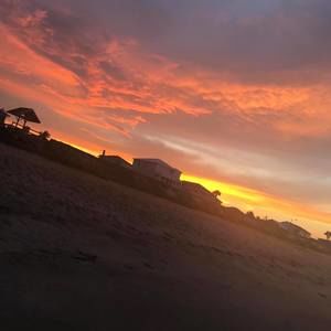 Meet your Posher, Shelby